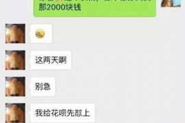 保山融资清欠服务